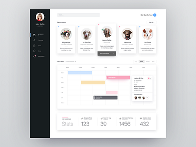 Dogsies Dashboard app card challenge clean dash dashboard layout product responsive ui ux website