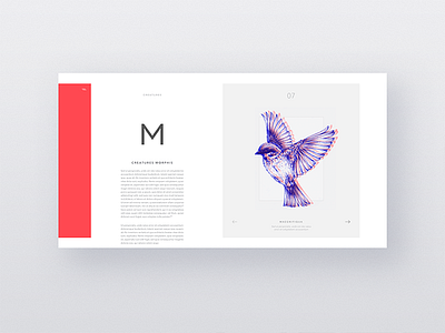 Magnifique Birdy app card clean dashboard landing page layout product responsive ui ux web website