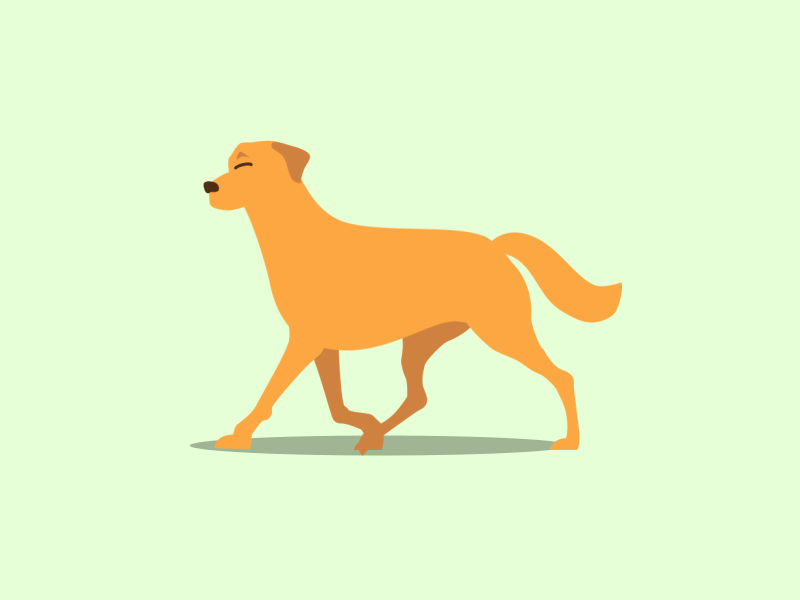 Dog walkcycle animation dog motion walk cycle