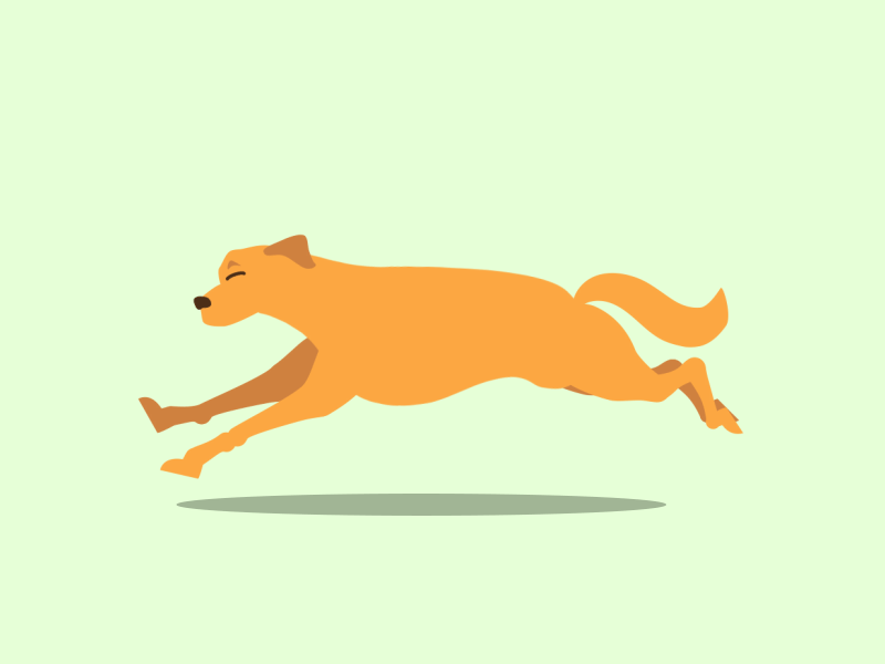 Dog Run Cycle