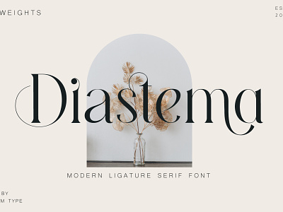 Diastema Modern Ligature Serif Font design social type typeface typogaphy