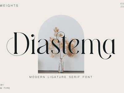 Diastema Modern Ligature Serif Font