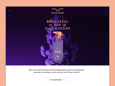 Bruynzeel webshop design ecommerce ui webshop
