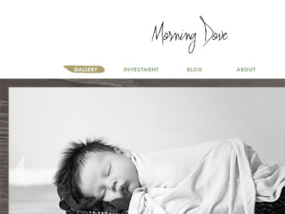 Photography Business Rebrand - Website Design website wordpress