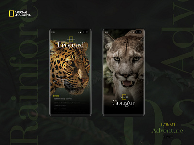 National Geographic Adventure Series Concept adventure design mobile mockup rainforest wild wildlife
