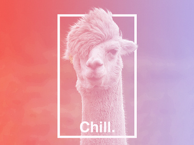 Chill. design gradient helvetica llama overlay poster type