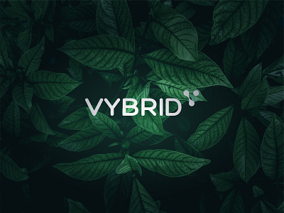 VYBRID BRAND IDENTITY branding design graphic design illustration logo ui