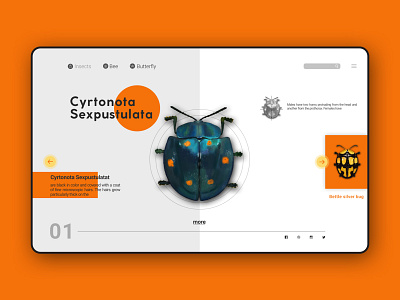 Insect WEB UI/UX