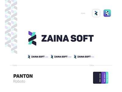 Zina Soft logo logo software z letter z letter logo zaina