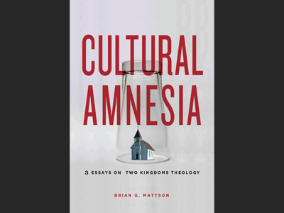 Cultural Amnesia - 1 book book cover church politics r2k theology