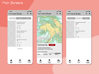 Hurricane Buddy App