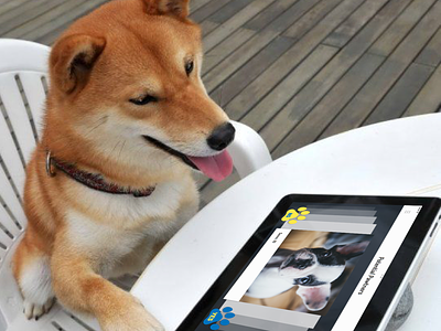 Tinder For Dogs dogs tinder ui ux uxui