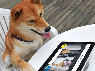 Tinder For Dogs