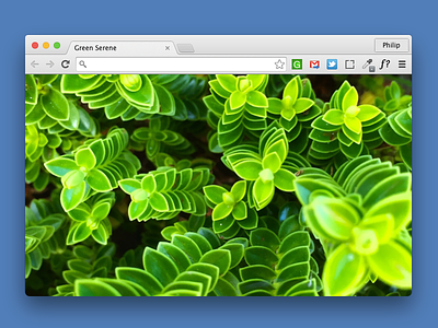 Green Serene Chrome Extension chrome extension green mockup nature plugin sketch uxui
