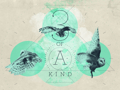 3 of a kind geometry owls texture typography