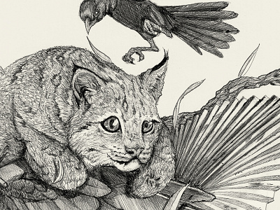 Jungle Jump detail 3 bird bobcat cat crow illustration leaf leaves lynx palm sketch