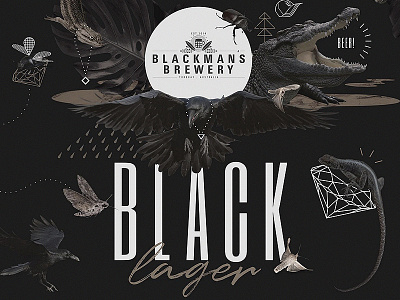 Blackmans Black Lager beer bird black branding brewery crocodile diamond lager moth