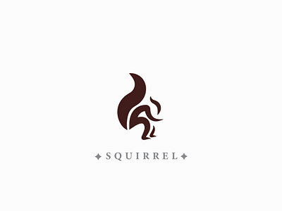 SQUIRREL @illustrator branding design graphic design icon illustration logo vector