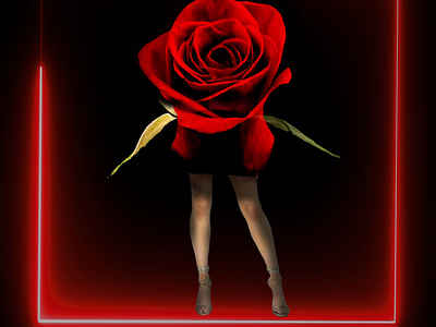 Rose Model