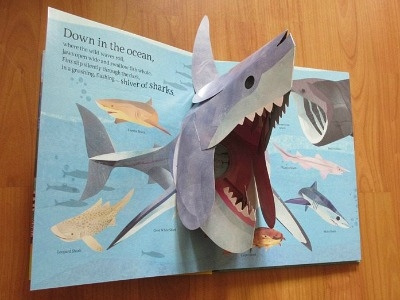 'Animals Everywhere' Children's Wildlife Pop-up Book animals childrens book collage pop up book sharks