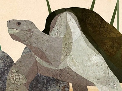 Lonesome George collage lonesome george tortoise