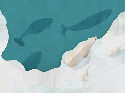 Test Illustration 1 For A New Polar Bear Book collage narwhal polar bear