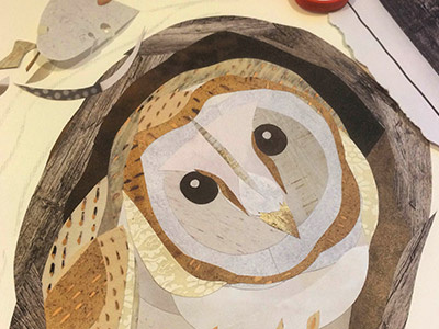 Barn Owl Collage barn owl birds collage illustration wildlife