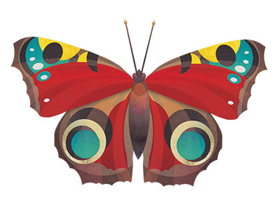 Peacock Butterfly bugs butterfly collage illustration insects