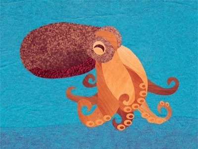 Common Octopus collage ocean octopus wildlife