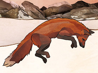 Leaping Fox collage fox wildlife
