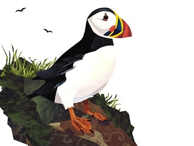 The Puffin