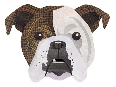 Jonathan Woodward Bulldog animals bulldog collage