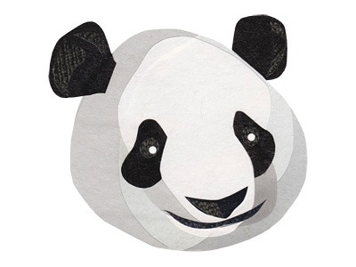 Jonathan Woodward Panda