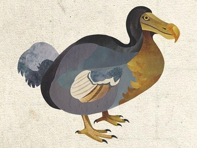 Finished Dodo birds collage dodo