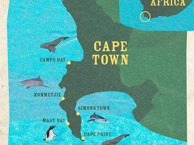 Capetown Marine Life Map collage map marine penguin shark whale