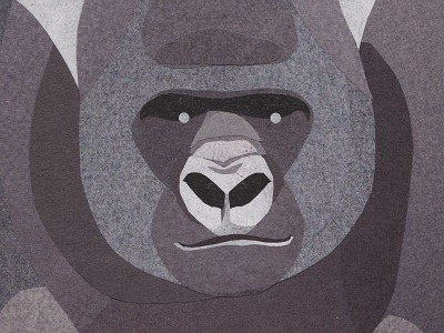 Silverback progress animals collage gorilla silverback wildlife
