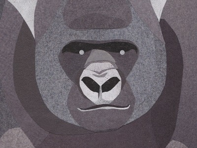 Silverback progress