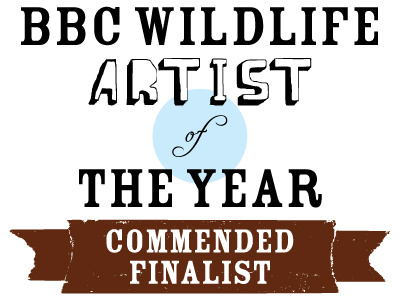 BBC Wildlife Artist Of The Year 2012: Commended Finalist