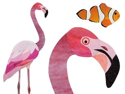 Flamingo & Clown Fish birds clown fish collage flamingo wildlife