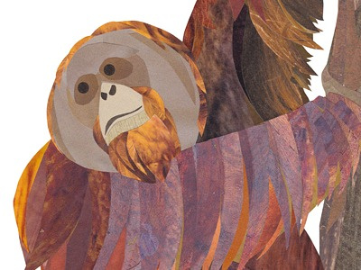 Finished Orangutan Collage animals collage orangutan primate