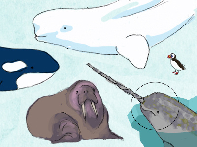 Arctic Rough beluga whale collage narwhal orca puffin walrus