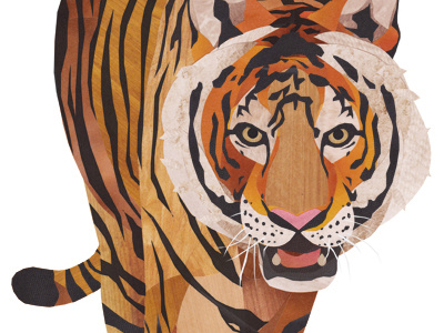 Finished Tiger collage tiger wildlife