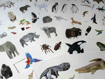 It's finished....finally animals collage wildlife