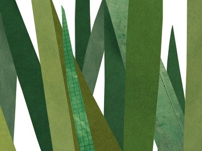 Cut Paper Collage Grass collage grass grasshoppers