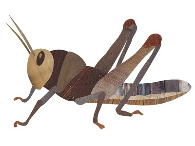 Grasshopper collage cricket grasshopper
