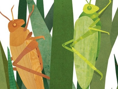 Spring Fling 2013 Cover Final Illustration collage grass grasshoppers