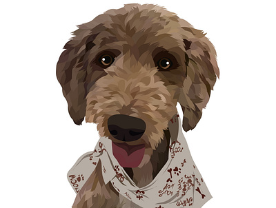 Pet Vector animation art design graphic design illustration illustrator logo ui ux vector