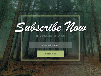 Newsletter Subscription