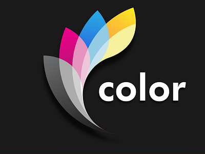 Logo Design for COLOR