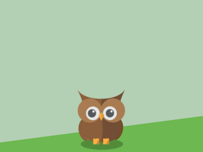 Little owl 2d after effects animals character character design flat flat design illustration owl vector